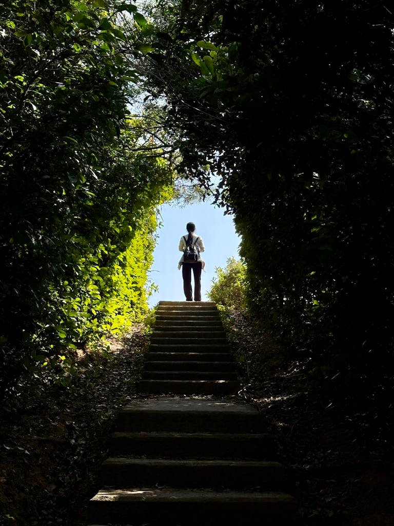 A person climbs a staircase through lush green forest into sunlight, creating a silhouette.